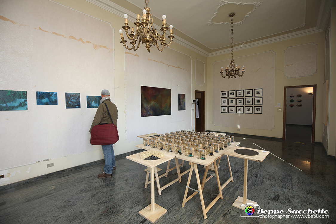 VBS_4062 - Paratissima 2021 - 17.ma Edizione.jpg